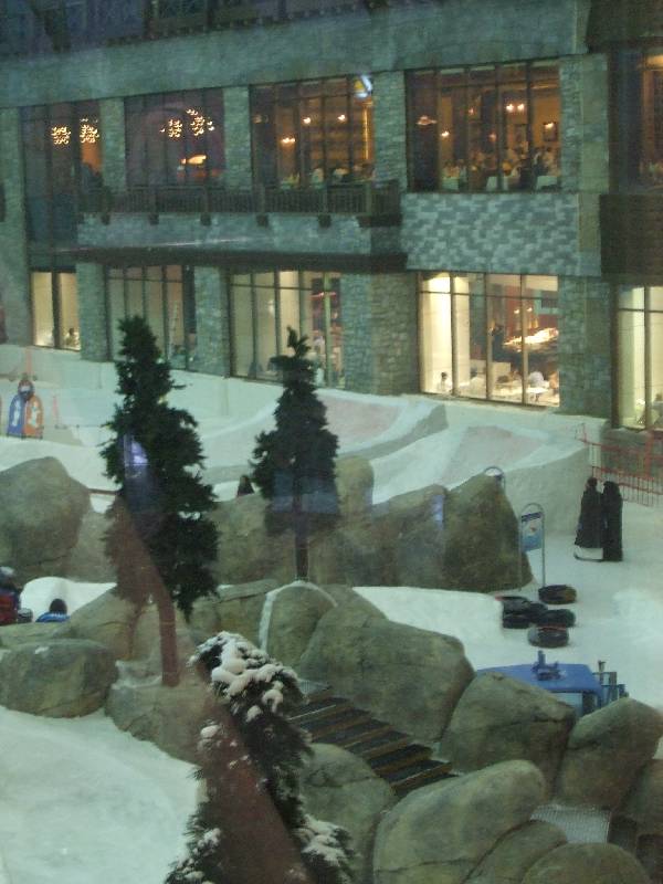Mall of the Emirates (9) 
